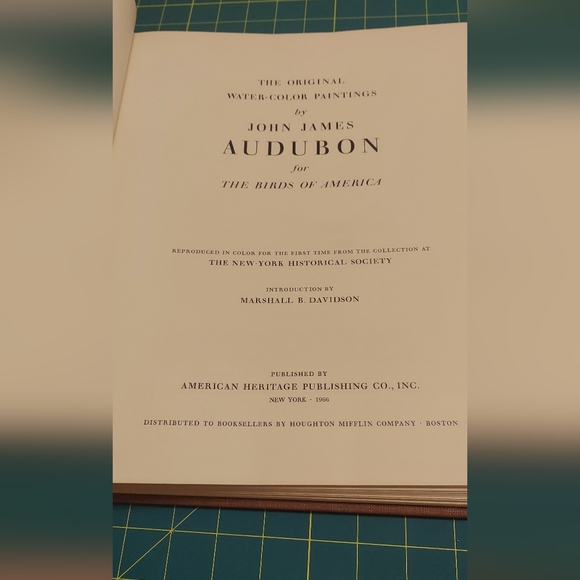 Redthroated Plate 202, Art by John  James Audubon - Picture 4 of 5